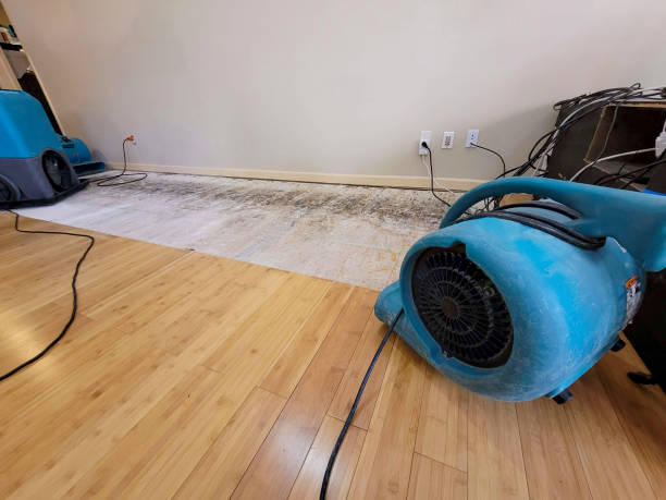 Professional Water Extraction technician working in Centerville, MA